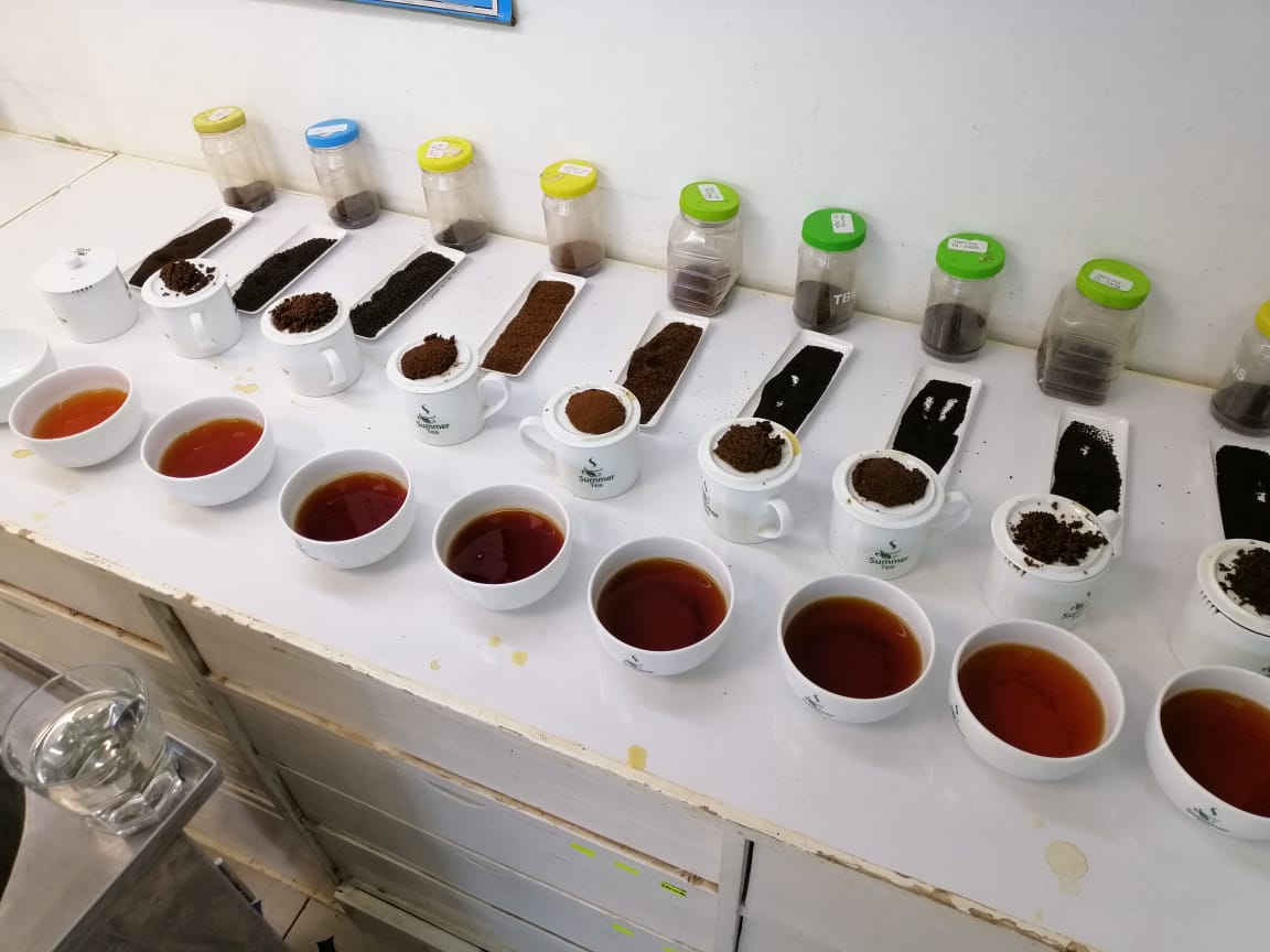 Tea Grading For Bulk Export: Understanding The Grades Of Black And ...