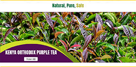 Kenya Orthodox Purple Tea